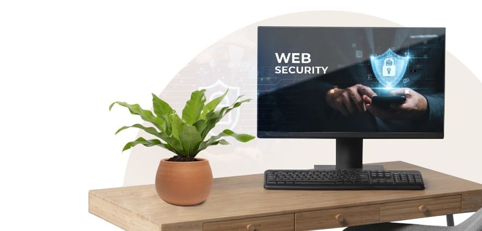 web security services in dubai